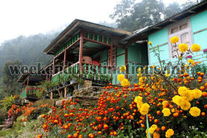 Sillerygaon homestay 